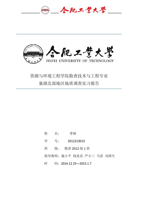 巢湖地区地质调查报告 最终版