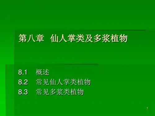 第八章 仙人掌与多浆植物2