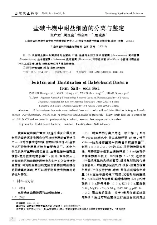 盐碱土壤中耐盐细菌的分离与鉴定