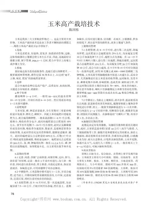 玉米高产栽培技术