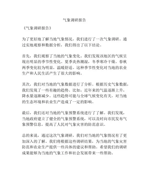 气象调研报告