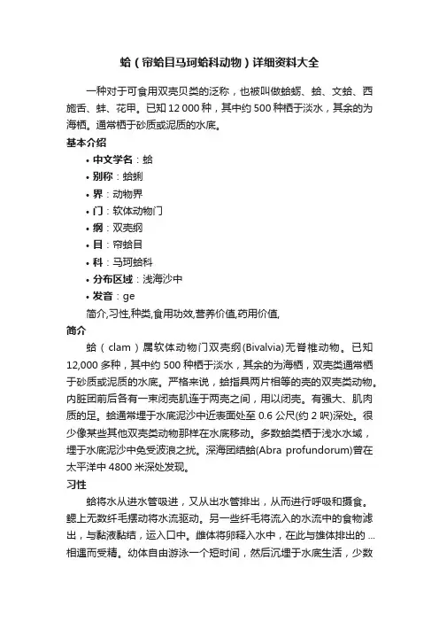 蛤（帘蛤目马珂蛤科动物）详细资料大全