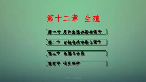 生理学——生殖系统