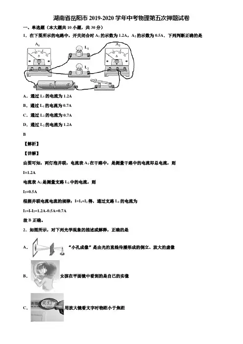 湖南省岳阳市2019-2020学年中考物理第五次押题试卷含解析