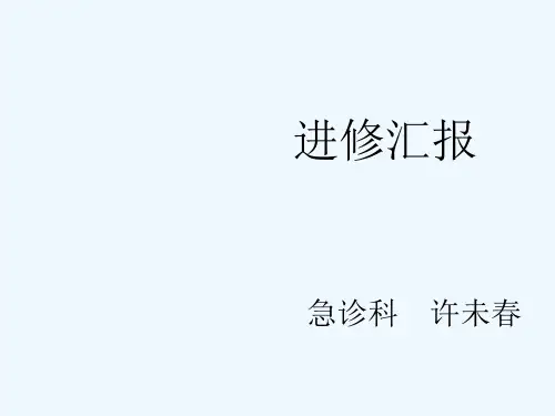 进修汇报-许未春