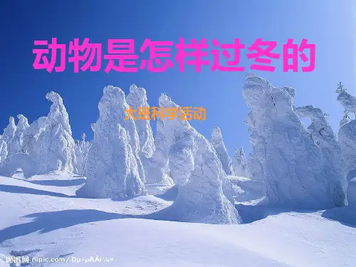 大班科学《小动物过冬》PPT
