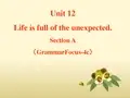 九年级英语人教版全一册_Unit12_SectionA(GrammarFocus-4c)优质课课件