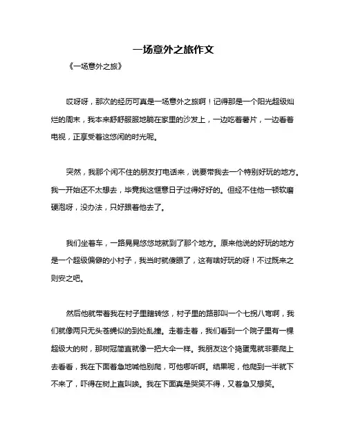 一场意外之旅作文