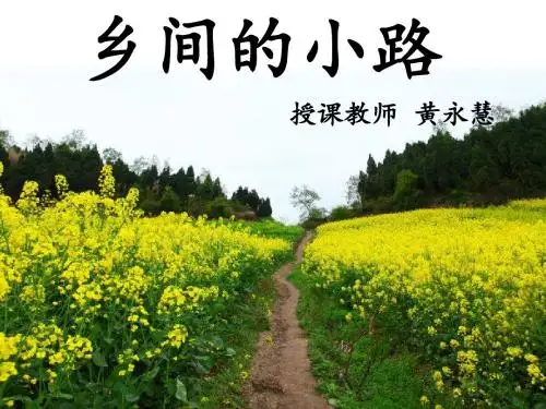 故乡的小路microsoft powerpoint 演示文稿ppt课件.ppt