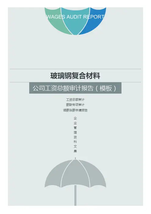 玻璃钢复合材料公司工资总额审计报告(加薪方案)