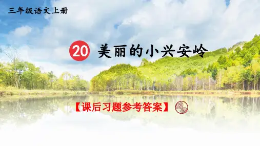 统编版语文三年级上册第20课《美丽的小兴安岭》课后习题参考答案