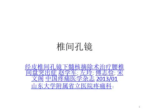 经皮椎间孔镜下髓核摘除术PPT课件