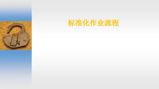 标准化作业流程
