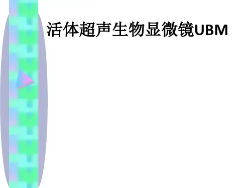 活体超声生物显微镜UBMppt课件