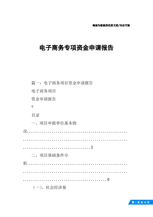 电子商务专项资金申请报告