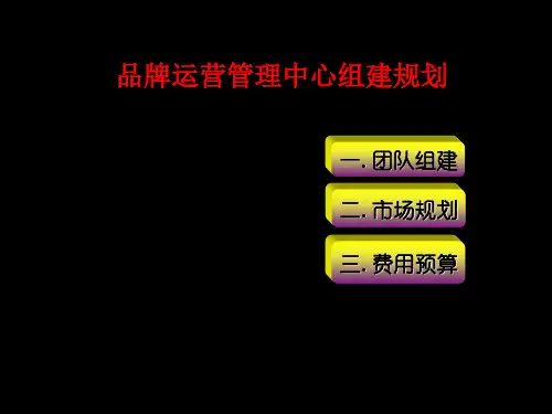 最新2010年营销运营团队组建及年度费用预算(NEW)