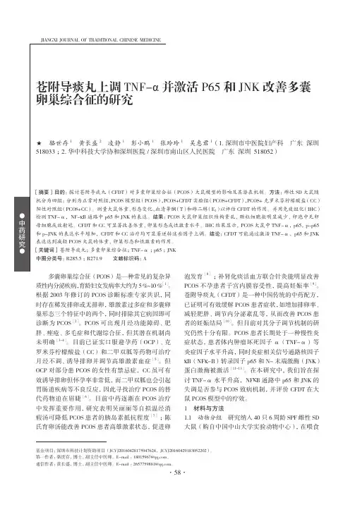 苍附导痰丸上调TNF-α并激活P65和JNK改善多囊卵巢综合征的研究