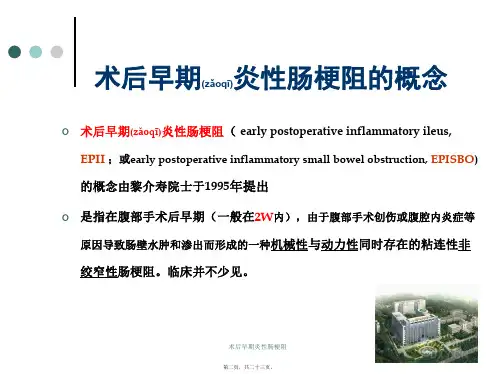 术后早期炎性肠梗阻课件