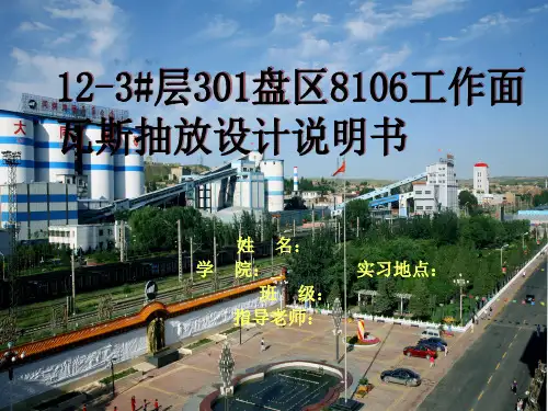 瓦斯抽放说明书