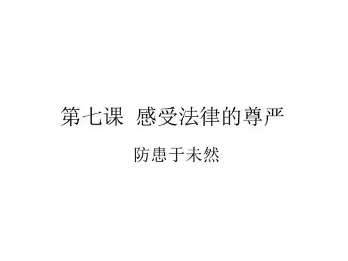 七年级政治感受法律的尊严7(新编2019教材)