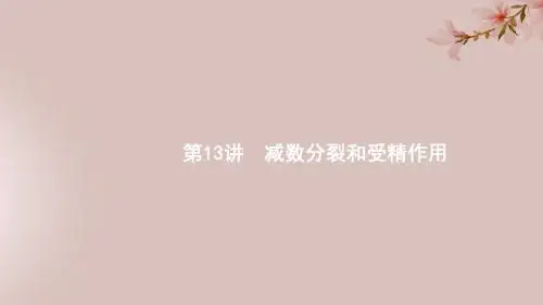 2020版高考生物大一轮复习第4单元细胞的生命历程13减数分裂和受精作用课件新人教版