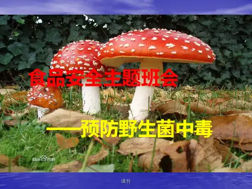预防野生菌中毒复习课件.ppt