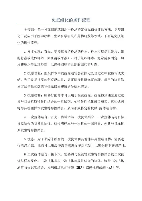 免疫组化的操作流程
