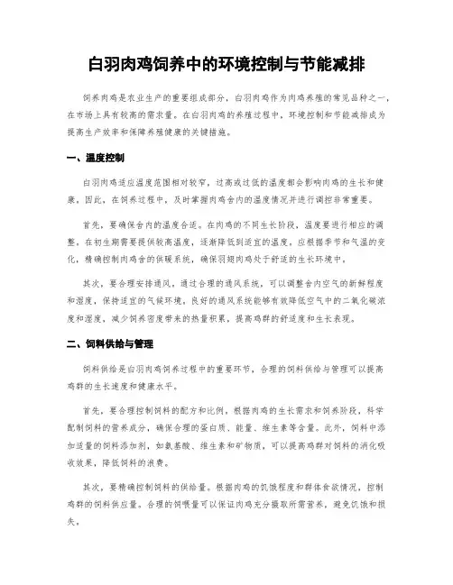 白羽肉鸡饲养中的环境控制与节能减排