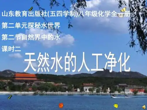 山东教育出版社(五四学制)八年级化学《天然水的人工净化》课件