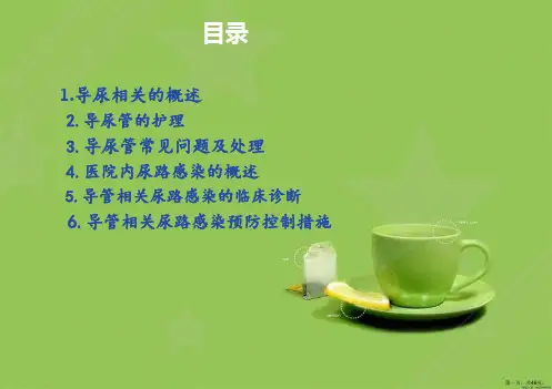 导尿管的护理