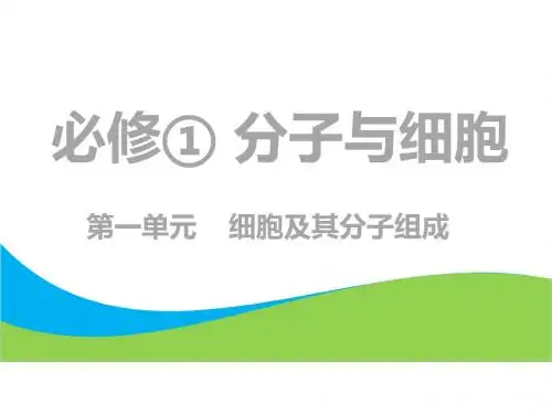 2019版高考生物一轮复习第1部分分子与细胞第一单元细胞及其分子组成第1讲走近细胞课件