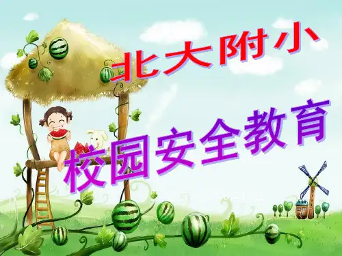 《安全伴我行》主题班会 ppt课件