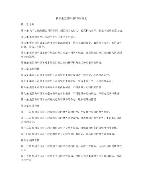 执行集团规章制度办法规定