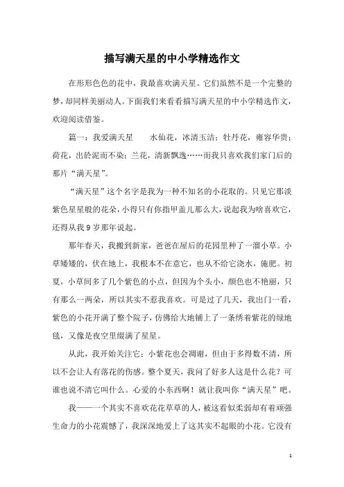 描写满天星的中小学精选作文