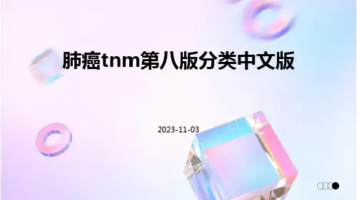肺癌TNM第八版分类中文版