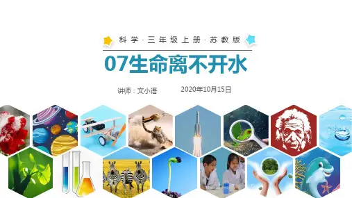 苏教版科学三年级上册07生命离不开水-课件PPT-附教案
