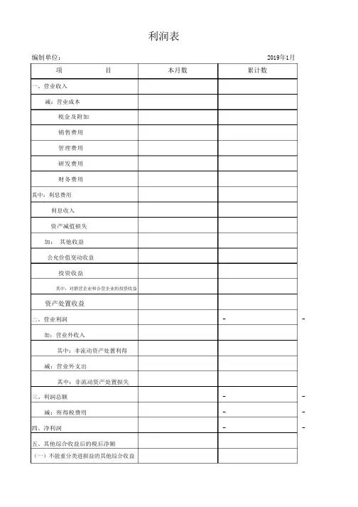 2019年版资产负债表、利润表(税务版)
