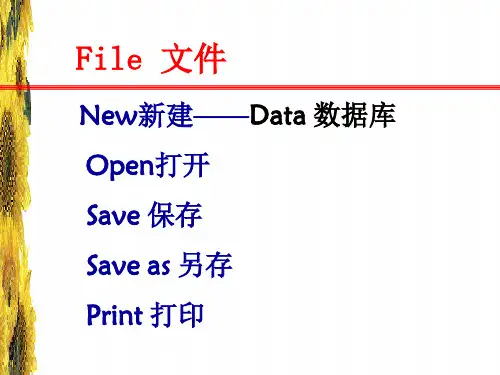 SPSS菜单说明