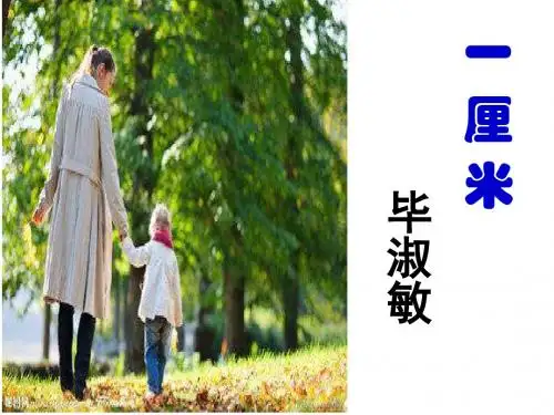一厘米