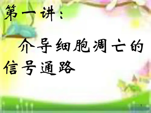 介导细胞凋亡的信号通路ppt课件