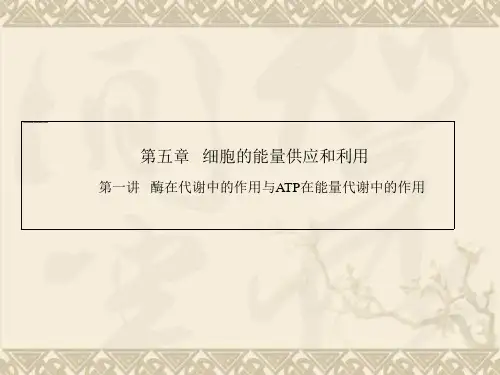 高中生物学业水平考试名师专题指导课件第1部分 第5章 细胞的能量供应和利用 第1讲