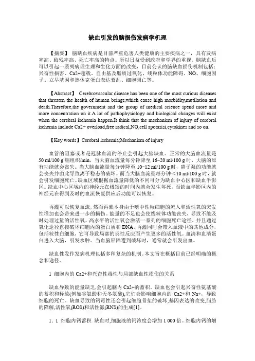 缺血引发的脑损伤发病学机理