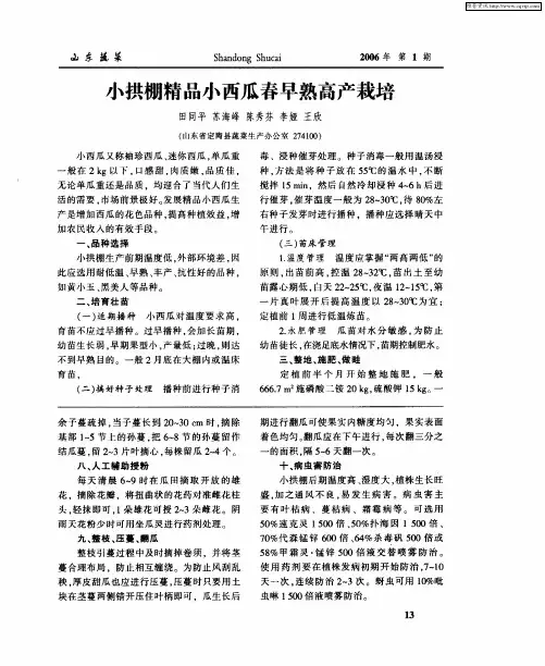 小拱棚精品小西瓜春早熟高产栽培