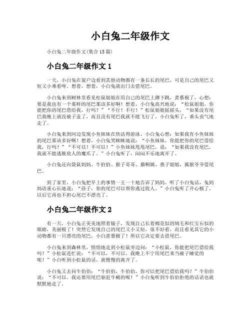 小白兔二年级作文