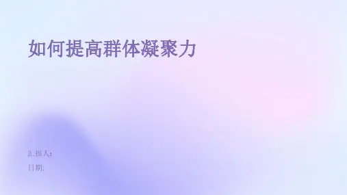 如何提高群体凝聚力