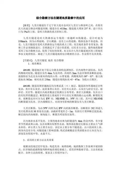 综合勘察方法在隧道地质勘察中的应用