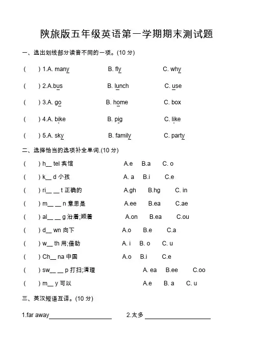 陕旅版五年级英语上册全套期末测试题 10套