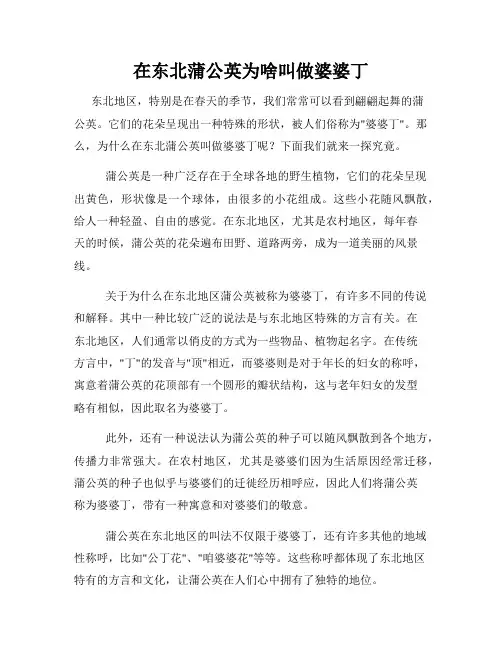 在东北蒲公英为啥叫做婆婆丁