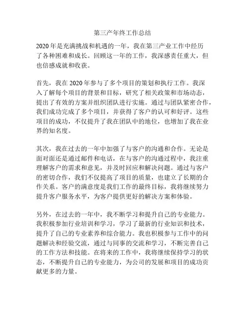 第三产年终工作总结