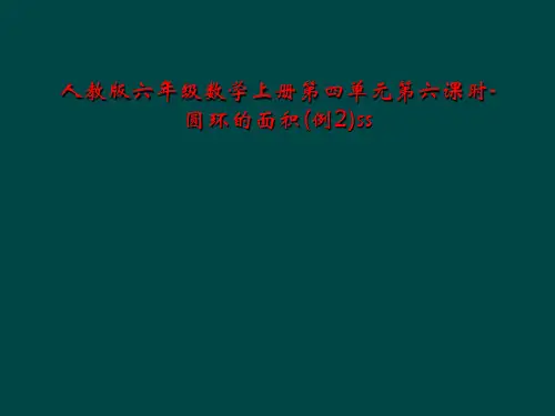 人教版六年级数学上册第四单元第六课时-圆环的面积(例2)ss